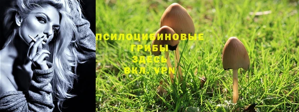 прущий лед Балахна