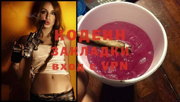 МДПВ Долгопрудный