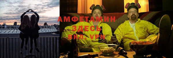 сатива Аркадак