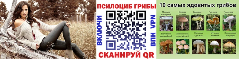 Галлюциногенные грибы ЛСД  Белокуриха 